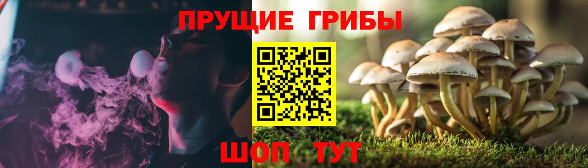 Новый Уренгой  Галлюциногенные грибы Psilocybe  Псилоцибиновые грибы мухоморы  Вход с VPN 